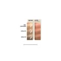 Miniatyrbild 3 av 4: Wella Professionals Color Fresh Mask Peach Blush 150ml - Toning