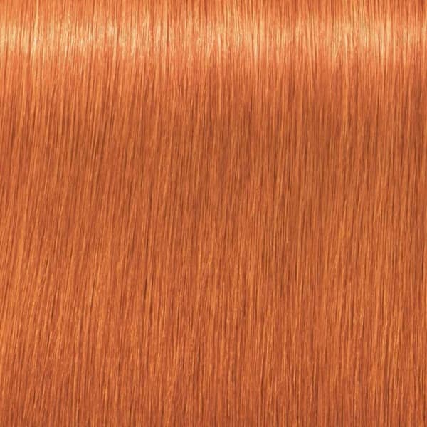Permanent färg Schwarzkopf Igora Royal Nº 0-77 Nº 9.0-rubio muy claro 60 ml