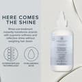 Miniatyrbilde 3 av 6: Paul Mitchell Awapuhi Wild Ginger HydraSoft Glossing Treatment 236ml