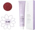 Miniatyrbild 2 av 2: Milk Shake Milk Shake, Creative, SLS/SLES-Free, Permanent Hair Dye, 5.665RR Intense Red Dark Blond, 100 ml For Women