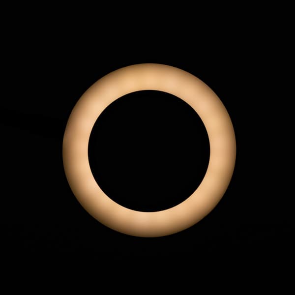 LED slange ring forstørrelseslampe til skrivebord, sort