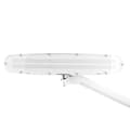 Miniatyrbillede 5 af 8: Elegante 801-l LED værkstedslampe med justerbar skruestik lysintensitet hvid