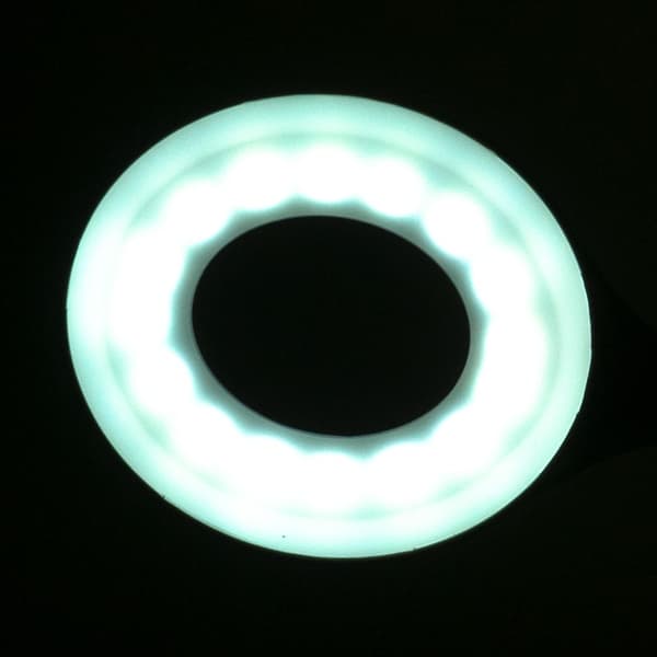 Ring LED Snake Skrivebordslampe Hvid
