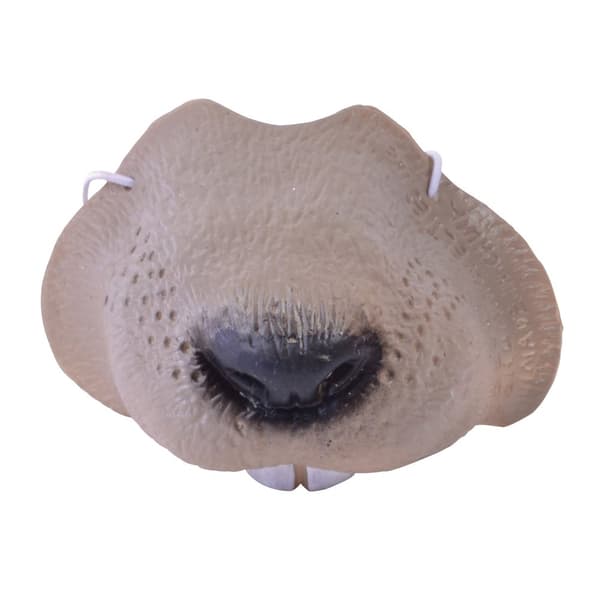 Bristol Novelty Børn/Børn musenæse maske Beige One Size