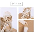 Miniatyrbild 5 av 9: Halloween skelettfigur Spooky Skull Dekoration Fest Spökhus - See No Evil