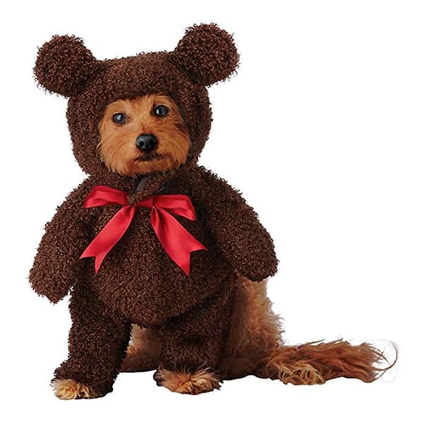 Bamse Kostume til Hund