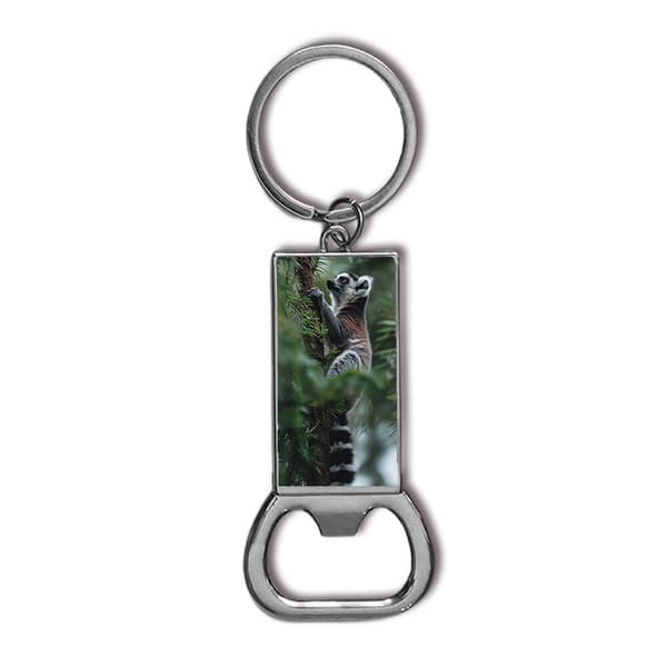 Söt Djur Lemur Flasköppnare
