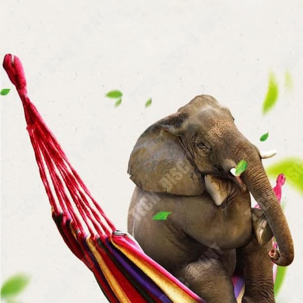 TD® Rainbow canvas utomhus lat hängmatta förtjockad dubbel swing hängmatta anti-rollover utomhus camping hängmatta