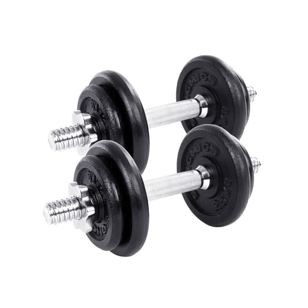 Hantlar, SONGMICS 2-pack Kort hantlar 20 kg, Svart