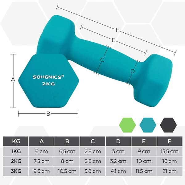 Hantel Sæt, SONGMICS Kort Hantler, 2 x 1 kg, 2 x 2 kg, 2 x 3 kg, Limegrøn, Aquamarin, Grå