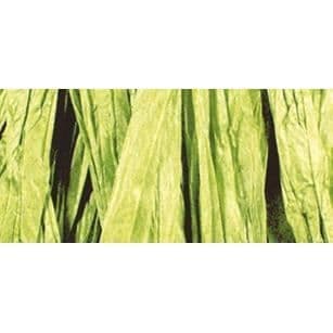 Rayoned Raffia - RAYHER - Ljusgrön - 20 meter nystan - Huvudfärg: Grön