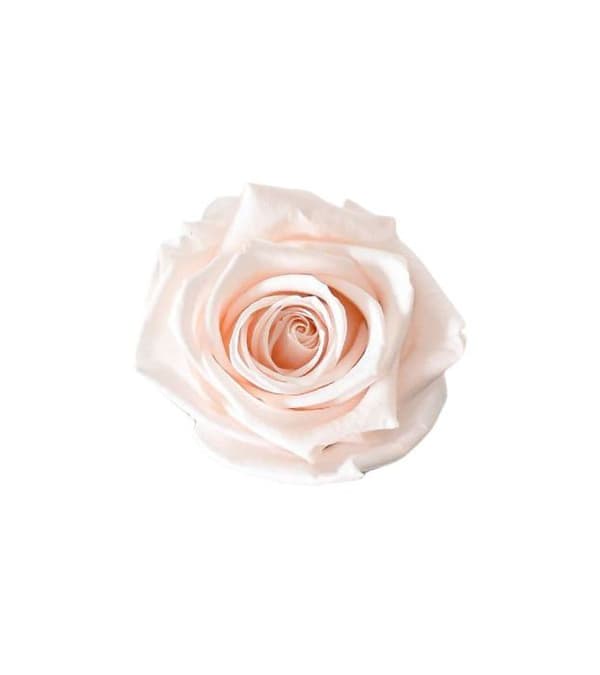 Raffia Juli - JFRKH - Blush Pink Pink Flowers