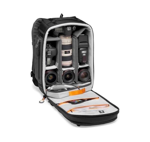 Lowepro reppu Pro Trekker BP 350 AW II, harmaa (LP37268-GRL)