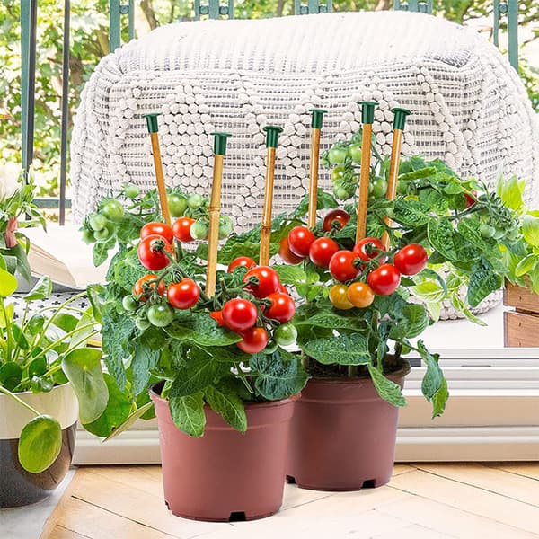 INF Hage bambus stang kapsler - Beskytter mot skarpe tips og forhindrer råte 48-Piece