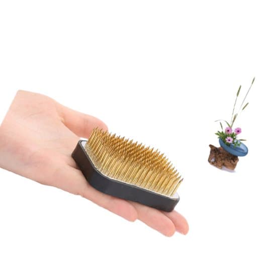 INF Floral Arrangement Pin Holder (Kenzan) – Blomsterfrø til blomsterdekoration og -arrangering
