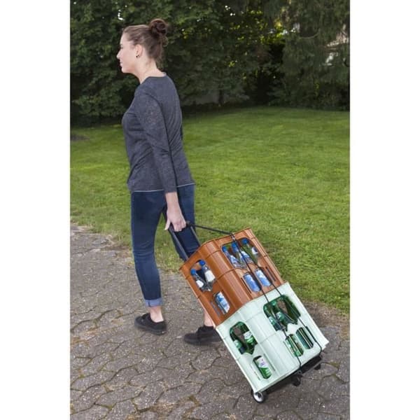 MEISTER Mini kokoontaitettava nokkakärry 45 kg