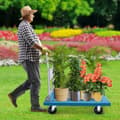 Miniatyrbild 4 av 4: Blå Fällbar Handtruck, 300 kg Lastkapacitet, Smidig Manövrerbarhet,HIMMELSBLÅ