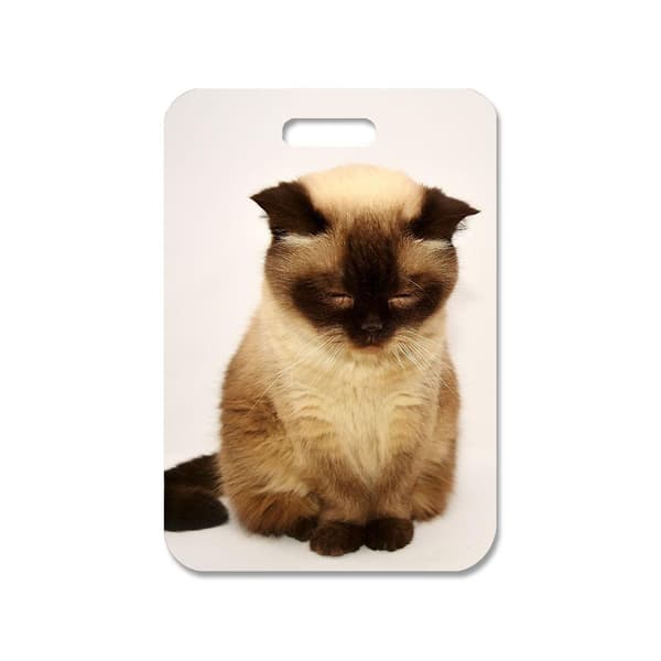 British Shorthair Kitten Veskedekorasjon Anheng