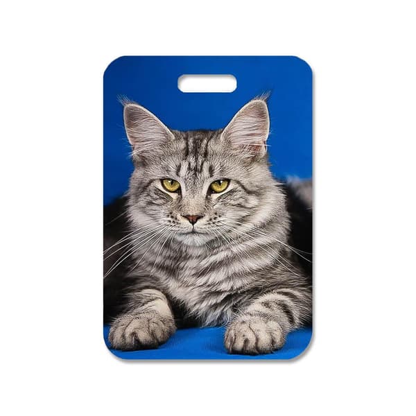 Katt Maine Coon Taske Dekorations Vedhæng
