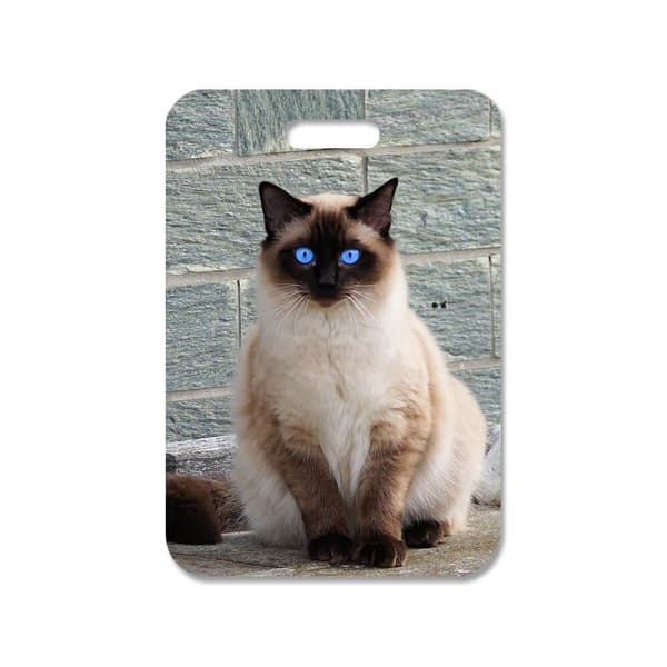 Siamese Cat Veskedekorasjon Anheng