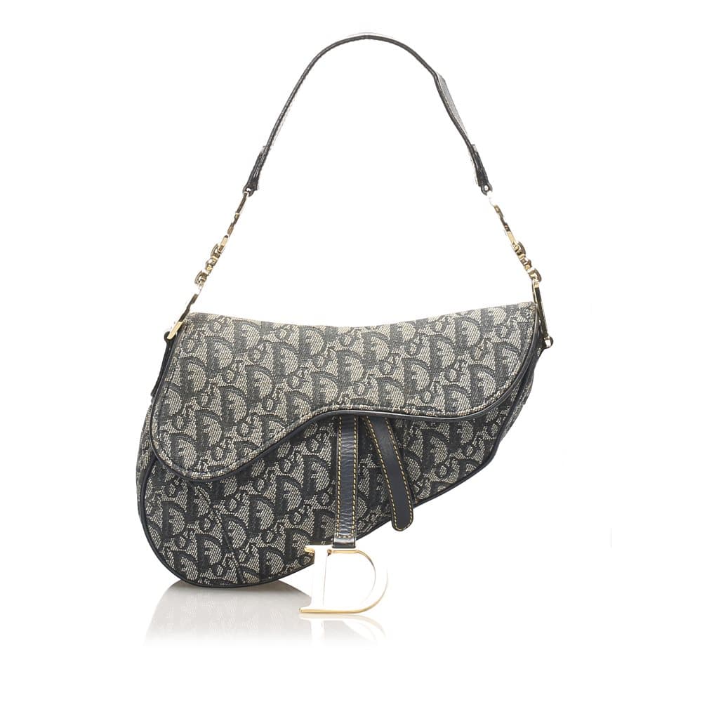 Dior Dior Oblique Canvas Saddle Gray