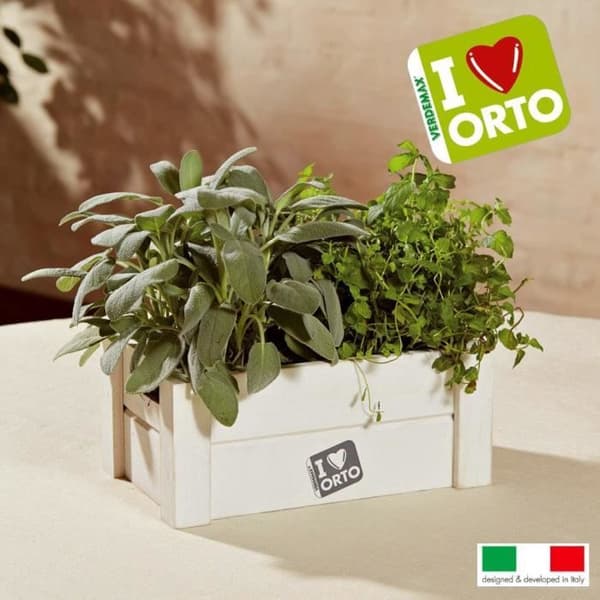 Aromatiska örtodlingssats - NO NAME - Easy Orto Menta e Salvia - Vit - Syntet - Blandat