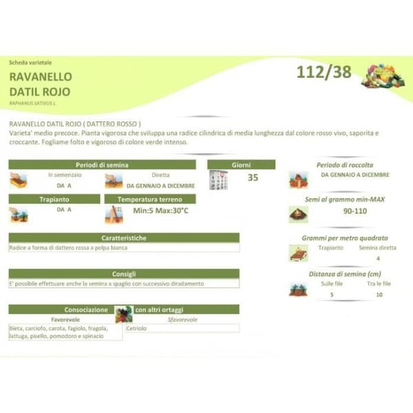 BUSTINA SEMI DI RAVANELLO DATTERO ROSSO