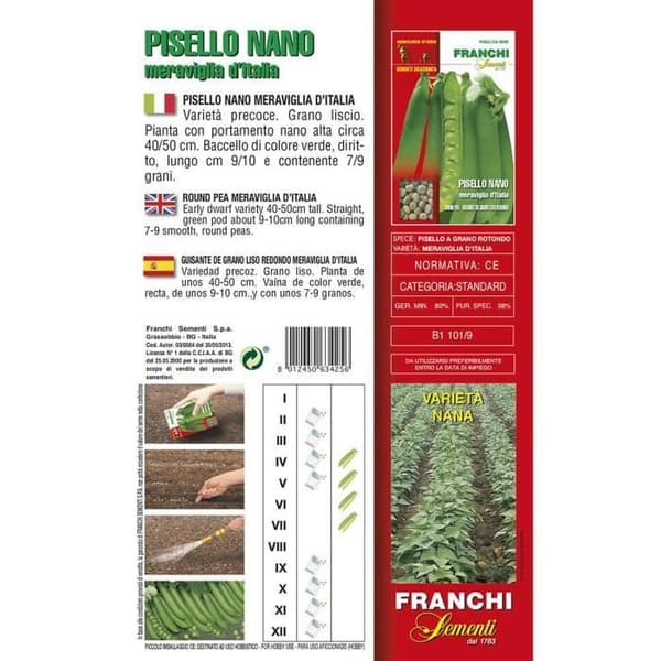 SEMI PISELLO NANO MERAVIGLIA D'ITALIA GR.100 FRANCHI SEMENTI