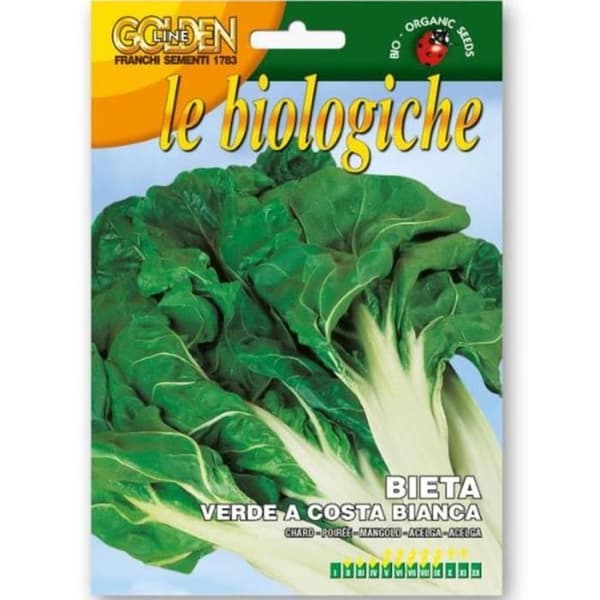 SEMI DI BIETA VERDE A COSTA BIANCA EKOLOGISK FRANCHI SEMENTI