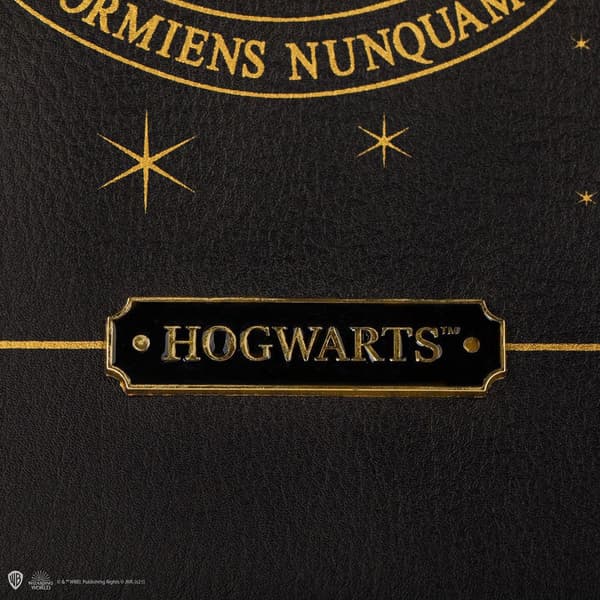 Cinereplicas Indkøbstaske I Imiteret Læder Hogwarts Harry Potter Gylden