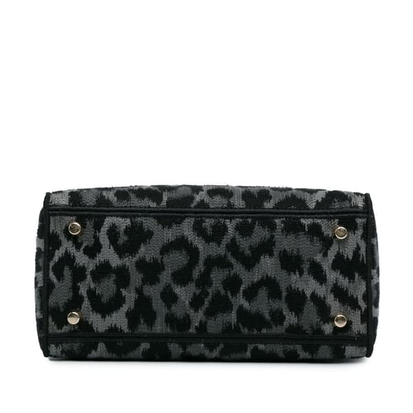 Pre-owned Dior Mizza Medium Embroidered Canvas Leopard Lady D Lite Gray