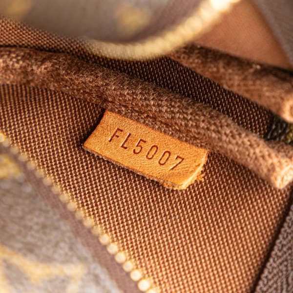 Pre-owned Louis Vuitton Monogram Mini Pochette Accessoires Brown