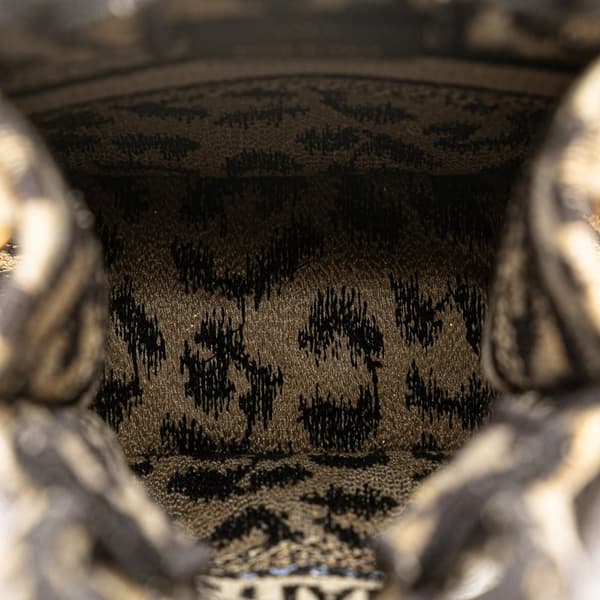 Pre-owned Dior Mizza Mini Embroidered Canvas Leopard Vertical Book Tote Brown