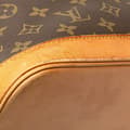 Pikkukuva 7 / 10: Pre-owned Louis Vuitton Monogram Alma PM Brown