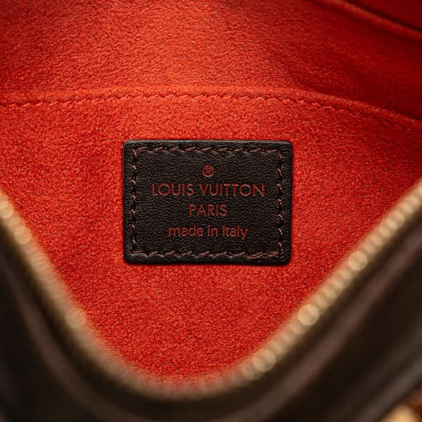 Pre-owned Louis Vuitton Damier Sauvage Tigre Brown
