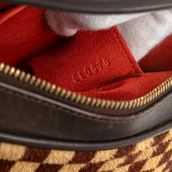 Pre-owned Louis Vuitton Damier Sauvage Tigre Brown