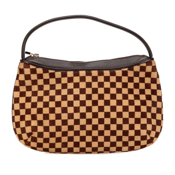 Pre-owned Louis Vuitton Damier Sauvage Tigre Brown