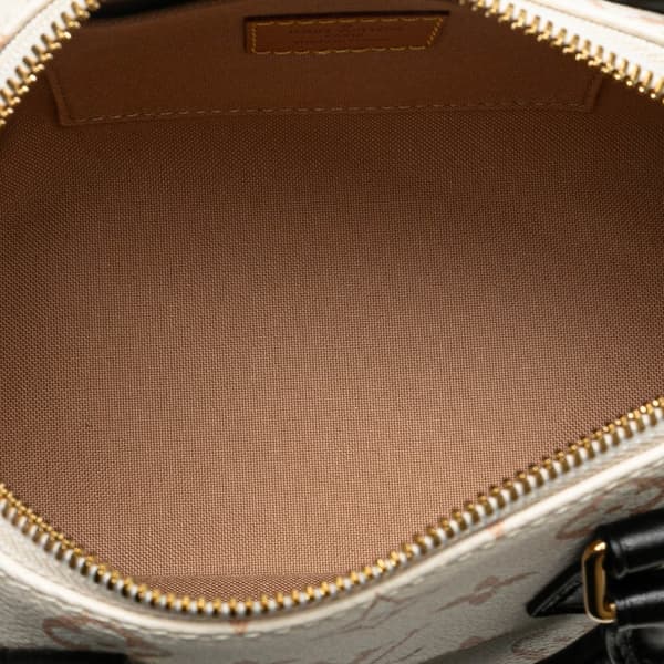 Pre-owned Louis Vuitton Monogram Dune Speedy Bandouliere 20 Brown