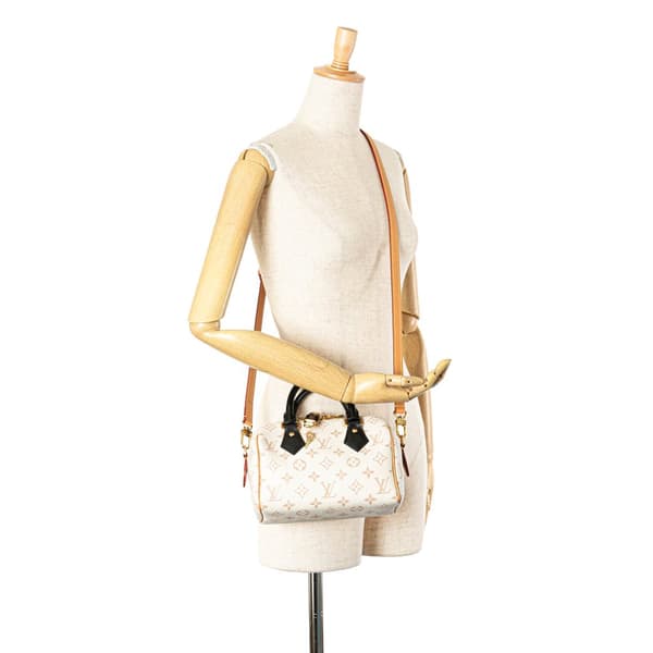 Pre-owned Louis Vuitton Monogram Dune Speedy Bandouliere 20 Brown