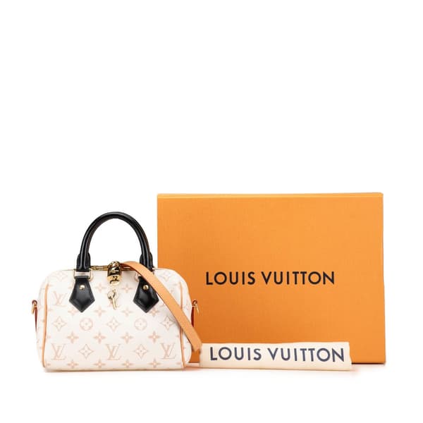 Pre-owned Louis Vuitton Monogram Dune Speedy Bandouliere 20 Brown