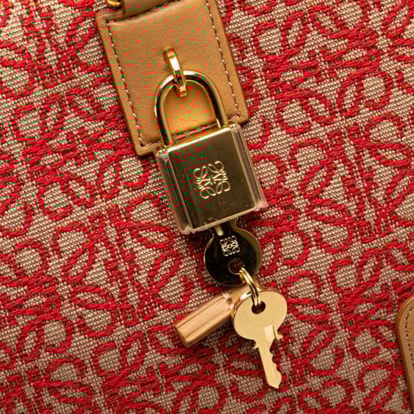 Pre-owned LOEWE Canvas Amazona 28 Red