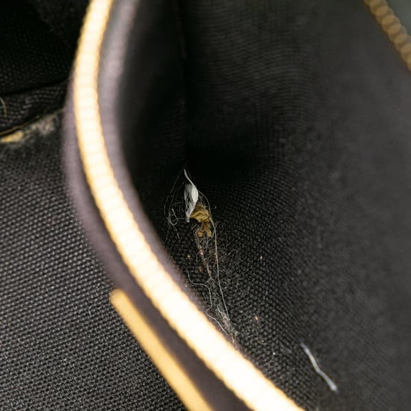 Pre-owned Prada Small Canvas Canapa Logo Satchel Black