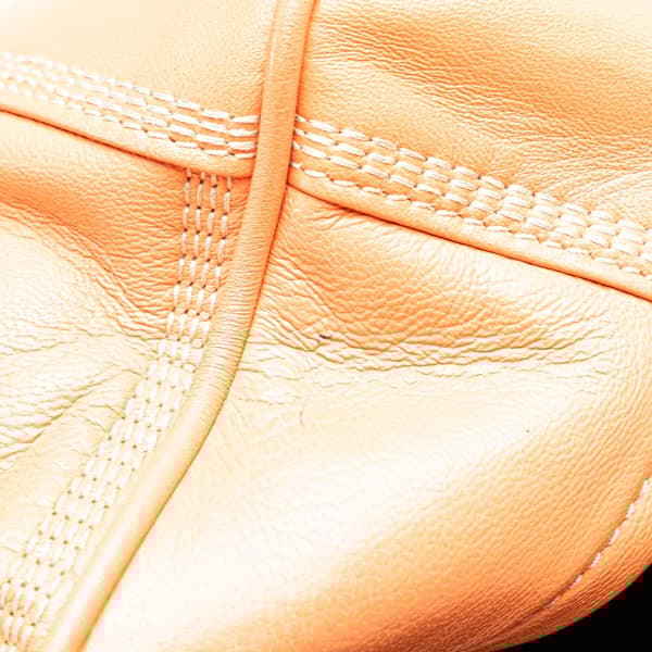 Pre-owned LOEWE Leather Amazona 28 Orange