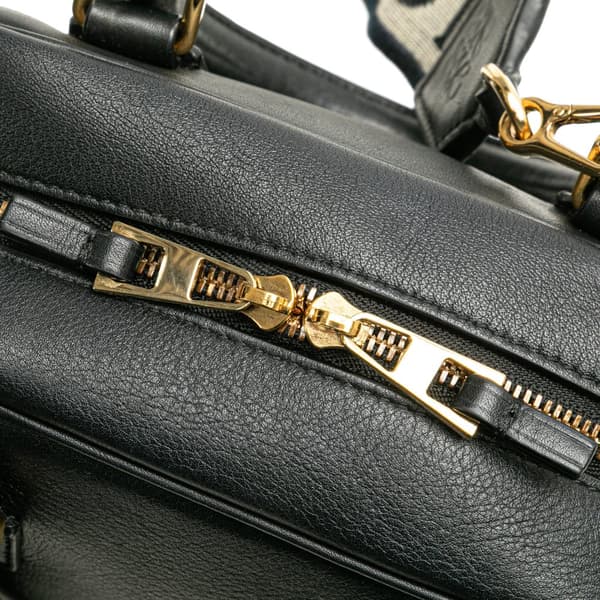 Pre-owned LOEWE Calfskin Amazona 16 Square Bag Black