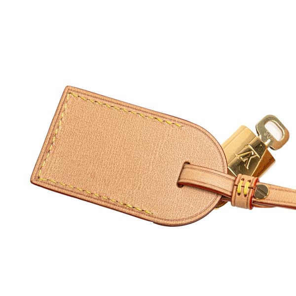 Pre-owned Louis Vuitton Monogram Petit Palais Brown