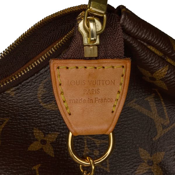 Pre-owned Louis Vuitton Monogram Mini Pochette Accessoires Brown