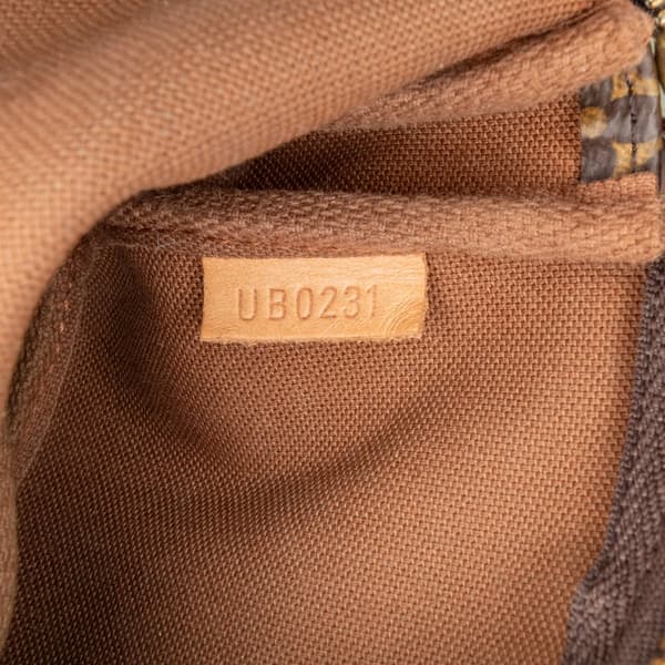 Pre-owned Louis Vuitton Monogram Mini Pochette Accessoires Brown