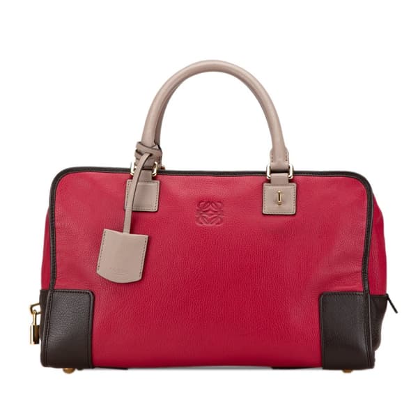Pre-owned LOEWE Tricolor Leather Amazona 36 Red
