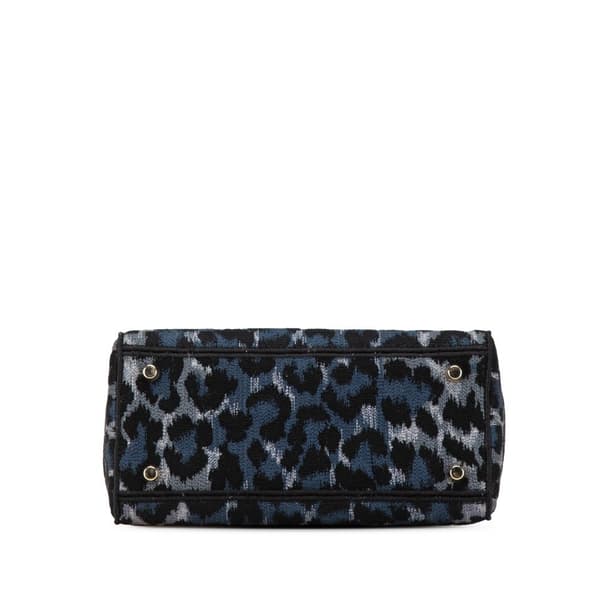 Pre-owned Dior Mizza Medium Embroidered Canvas Leopard Lady D Lite Blue