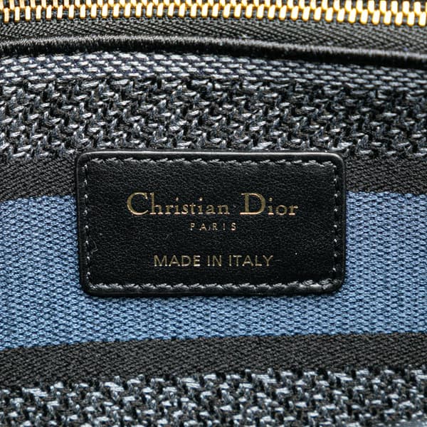 Pre-owned Dior Mizza Medium Embroidered Canvas Leopard Lady D Lite Blue